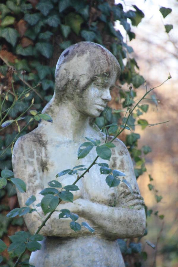 Villa Brodthage, App. 2 Walkenried Εξωτερικό φωτογραφία